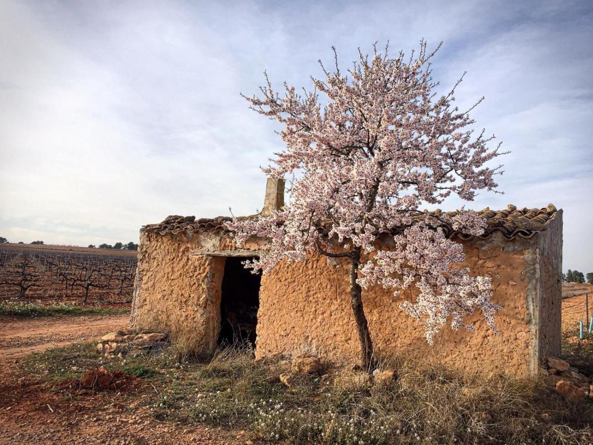 Casa Rural Rio Cabriel Villamalea 外观 照片
