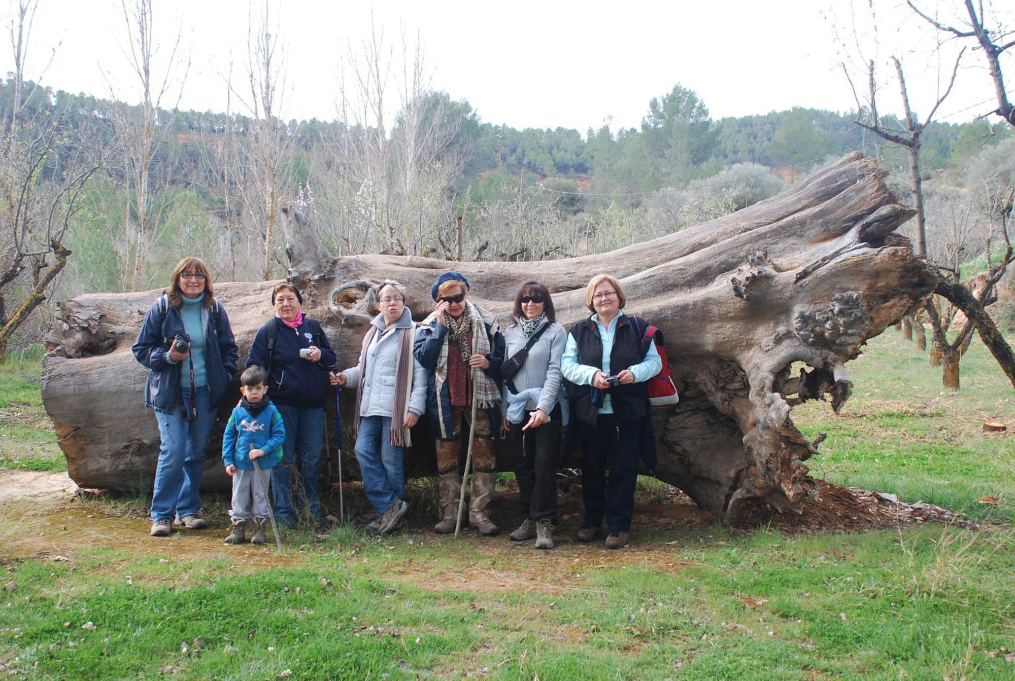 Casa Rural Rio Cabriel Villamalea 外观 照片