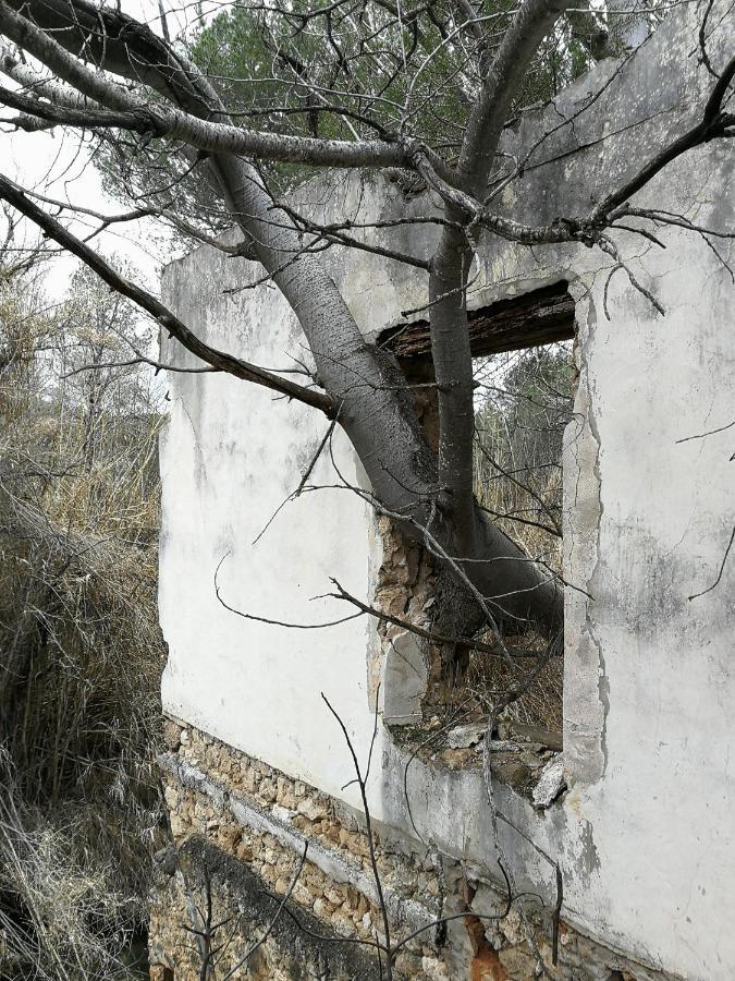 Casa Rural Rio Cabriel Villamalea 外观 照片